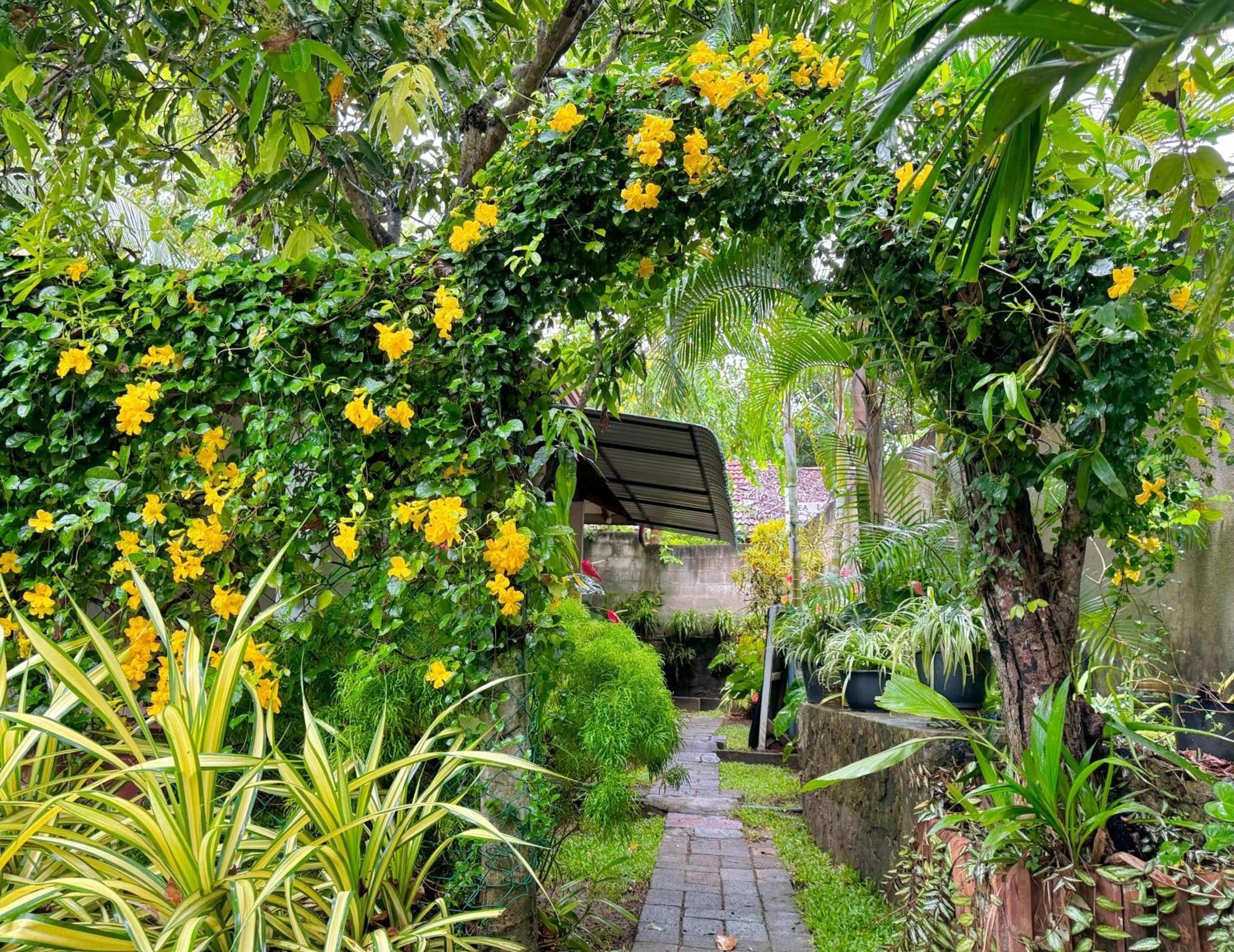Nethmi & Restaurant Tangalle
