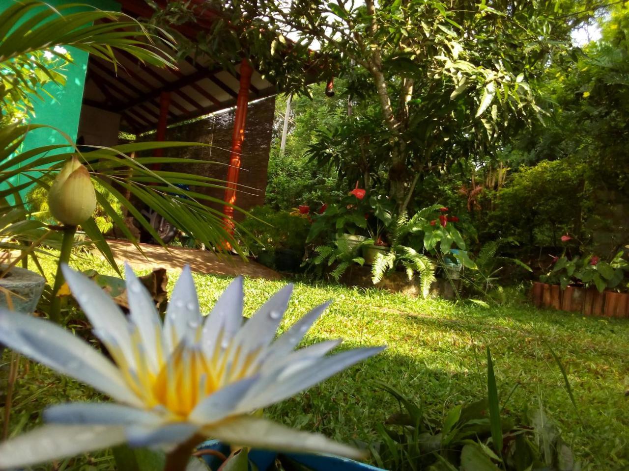 Nethmi & Restaurant Homestay Tangalle